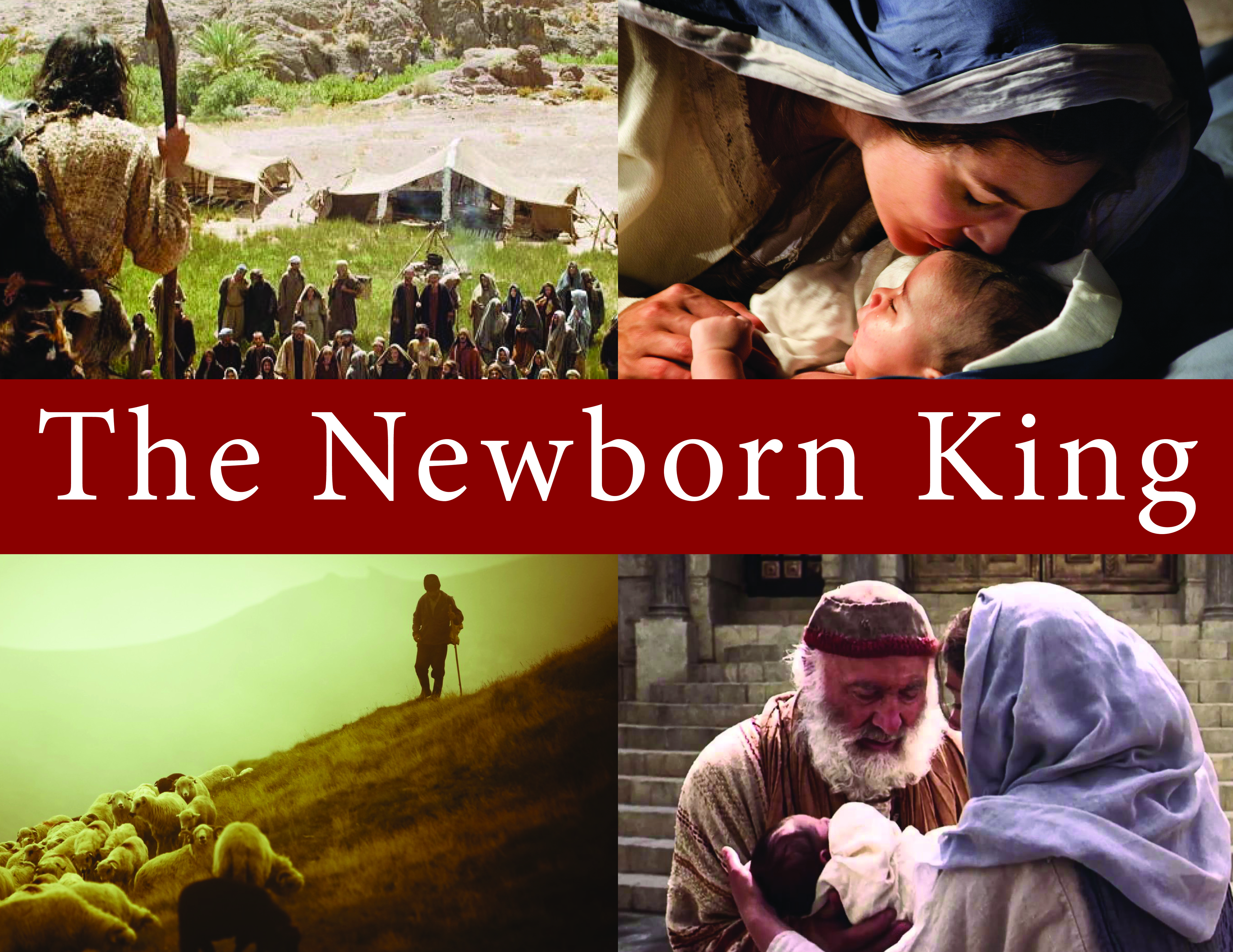The Newborn King: The Shepherd of our Souls