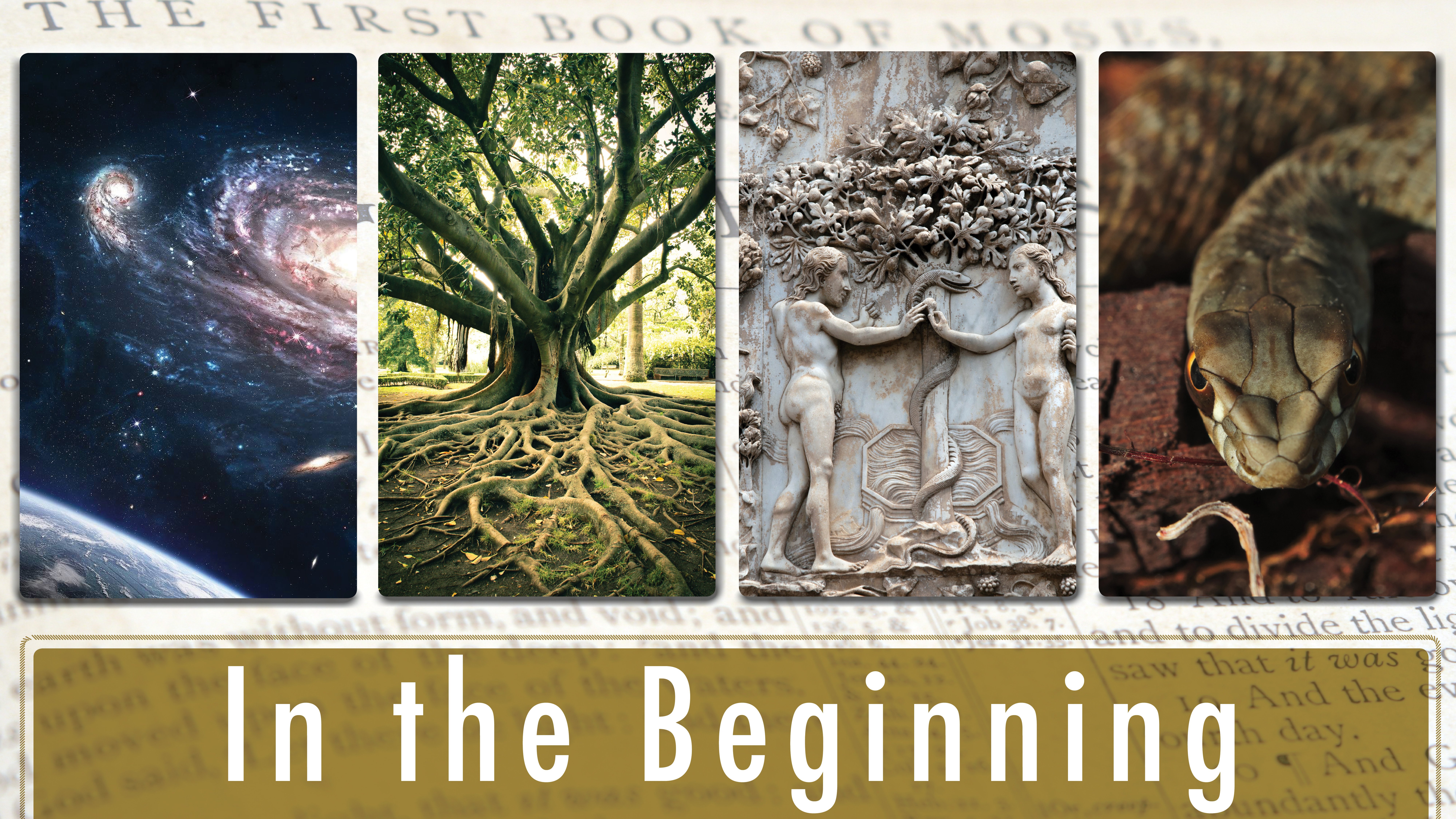 In the Beginning: How and When